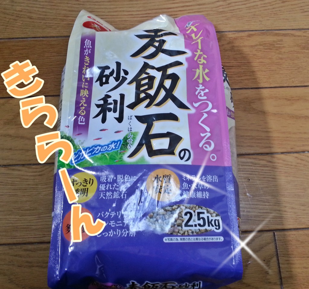 水槽のレイアウトがショボイので 奥行き感を演出するために砂利を入れてみたよ はじめてのアクアリウム 水槽のレイアウトがショボイので 奥行き感を演出するために砂利を入れてみたよ はじめてのアクアリウム