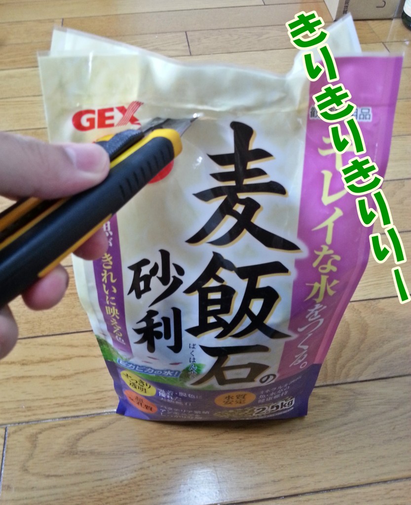 水槽のレイアウトがショボイので 奥行き感を演出するために砂利を入れてみたよ はじめてのアクアリウム