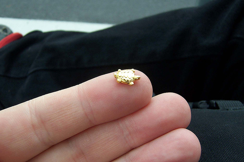 photo credit: Hachidai Jinja - turtle via photopin (license)