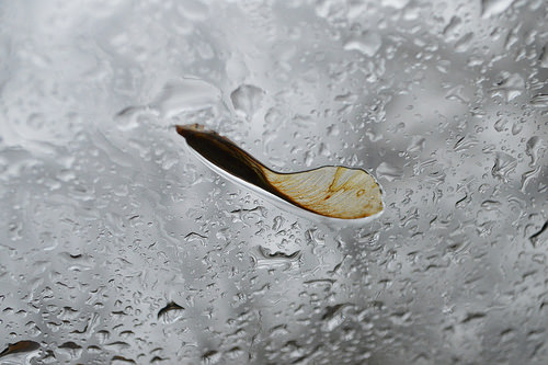 photo credit: Neat Photo (I think) via photopin (license)