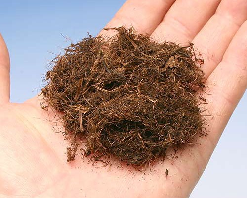 水草 はじめてのアクアリウム Part 2