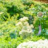 白いアジサイが咲く庭の風鈴のグリーン背景 真夏 f